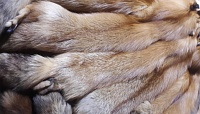 Пошив изделия из меха рыжей лисы